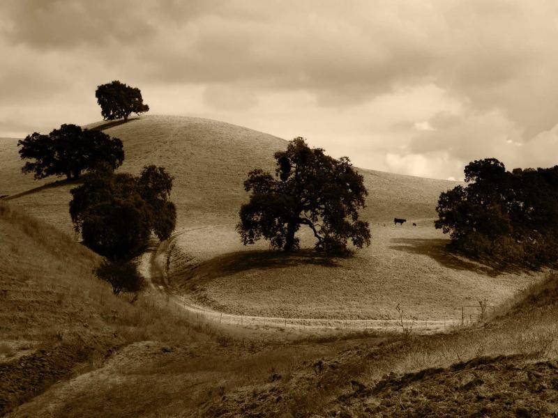 sudoku value pack screenshot 5